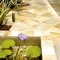Paver